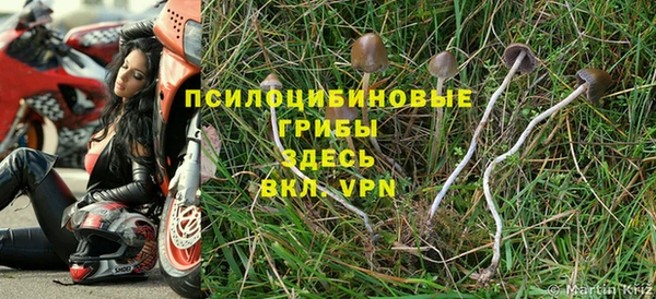 СК Богородицк