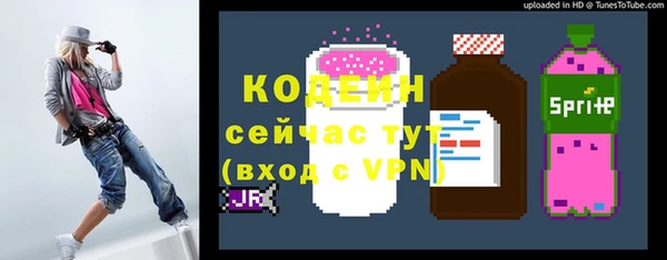 СК Богородицк