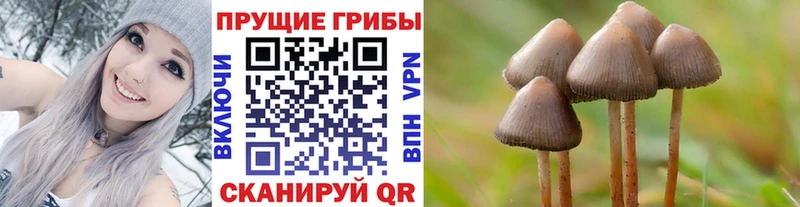 Галлюциногенные грибы GOLDEN TEACHER  Мончегорск 